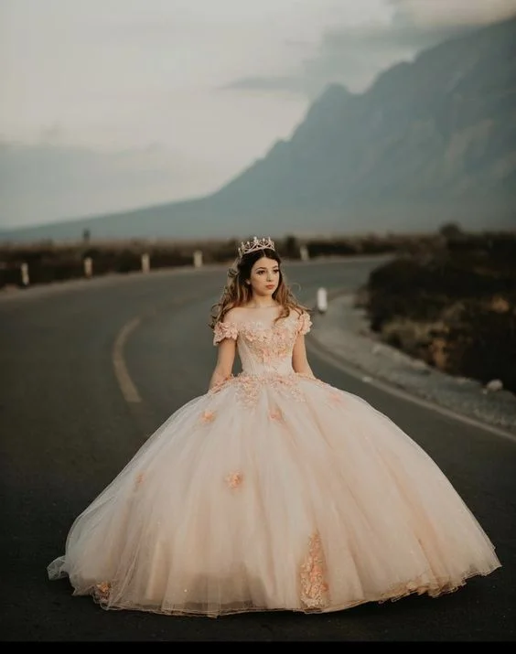 Chic Off The Shoulder Tulle Appliques Ball Gown Princess Dress Sweet 16 Dress Y399 Sexy Tulle Dress